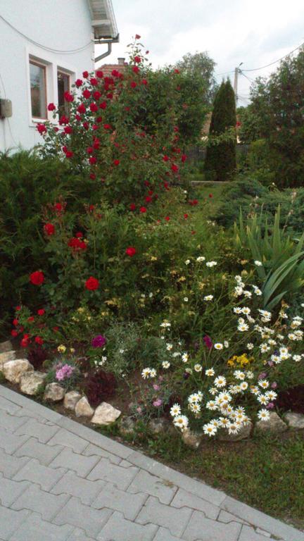 Becze Vanda Kulcsoshaz Lazarea Exterior photo